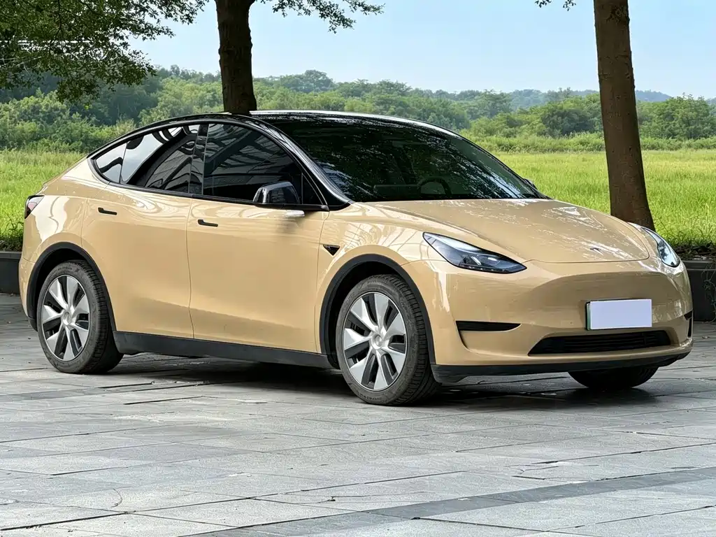 Tesla Model Y — фото 3
