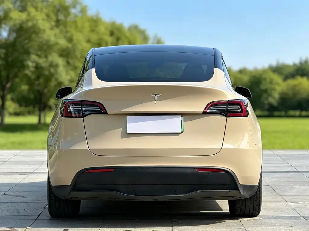 Tesla Model Y — фото 5