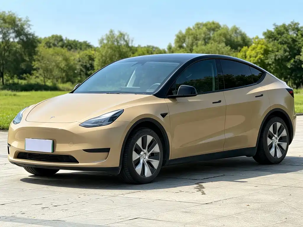 Tesla Model Y — фото 1