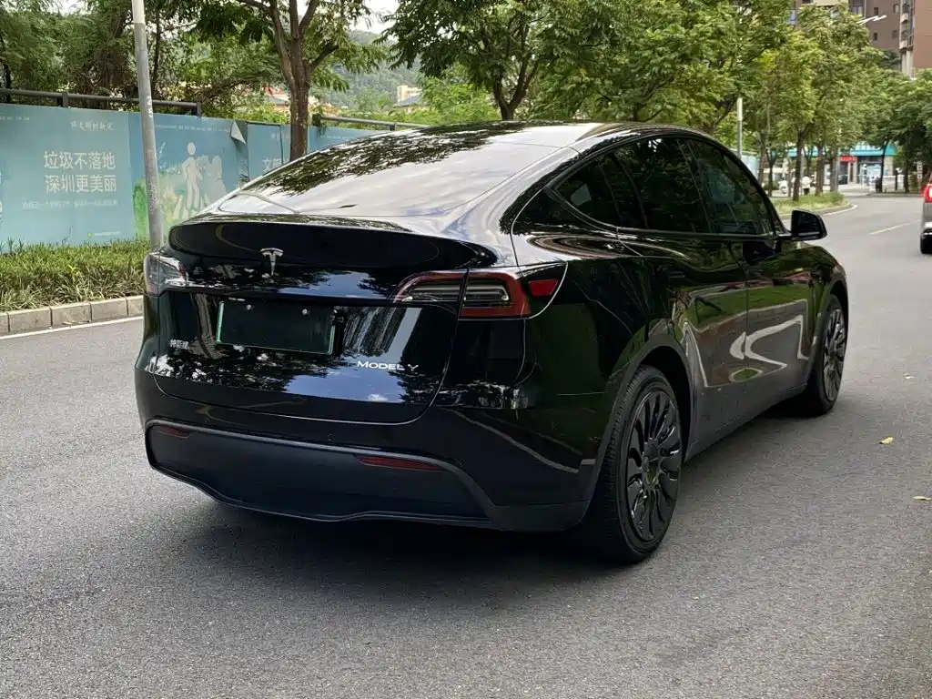 Tesla Model Y — фото 2