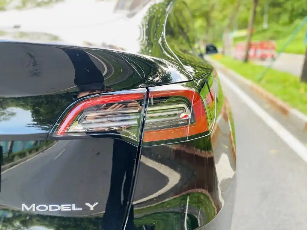 Tesla Model Y — фото 3