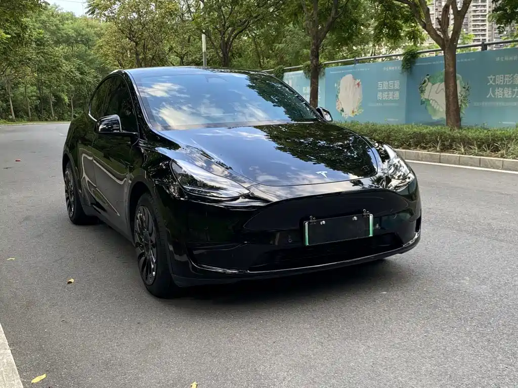 Tesla Model Y — фото 5