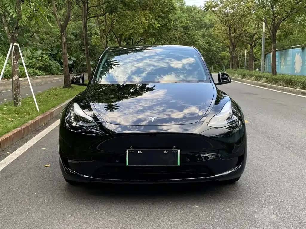 Tesla Model Y — фото 6
