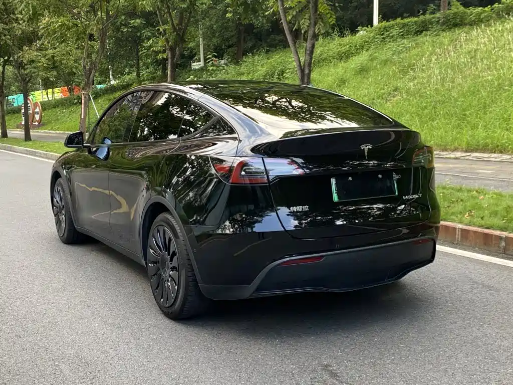 Tesla Model Y — фото 7