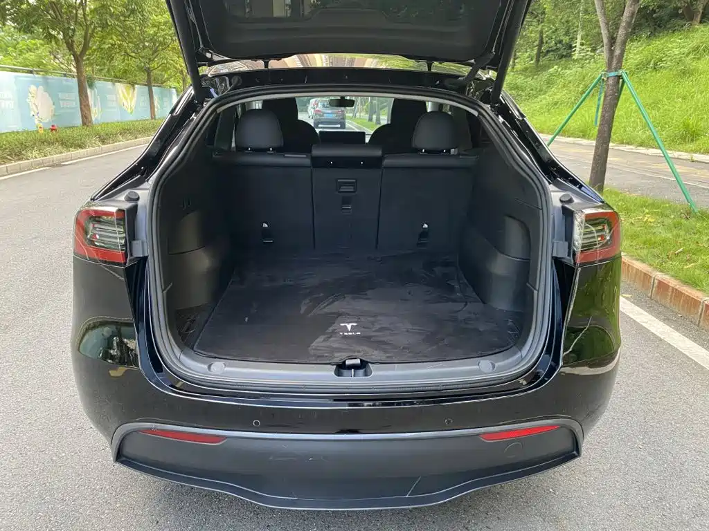 Tesla Model Y — фото 8