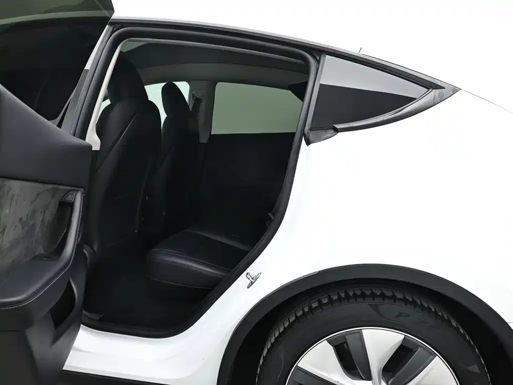 Tesla Model Y — фото 14
