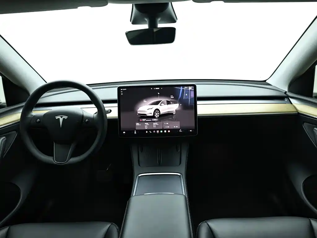 Tesla Model Y — фото 15