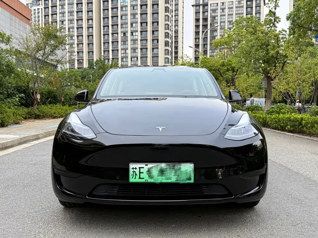 Tesla Model Y — фото 2