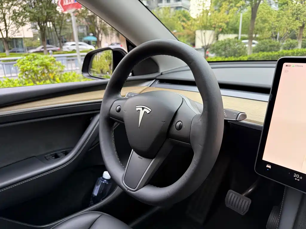 Tesla Model Y — фото 14