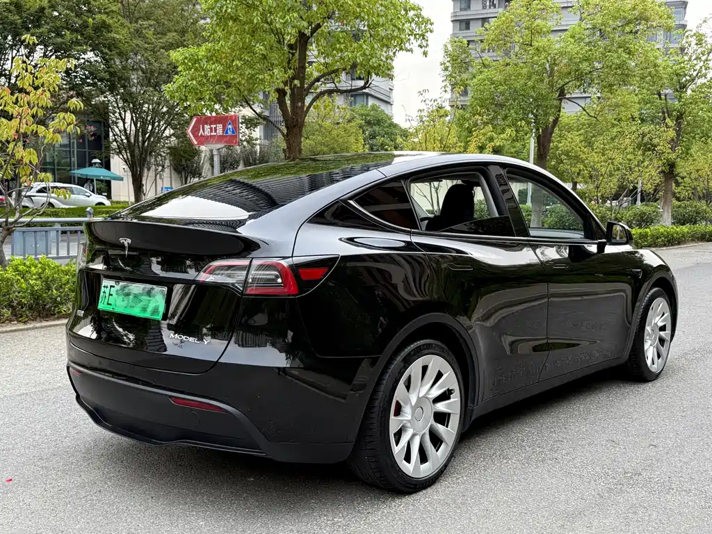 Tesla Model Y — фото 6