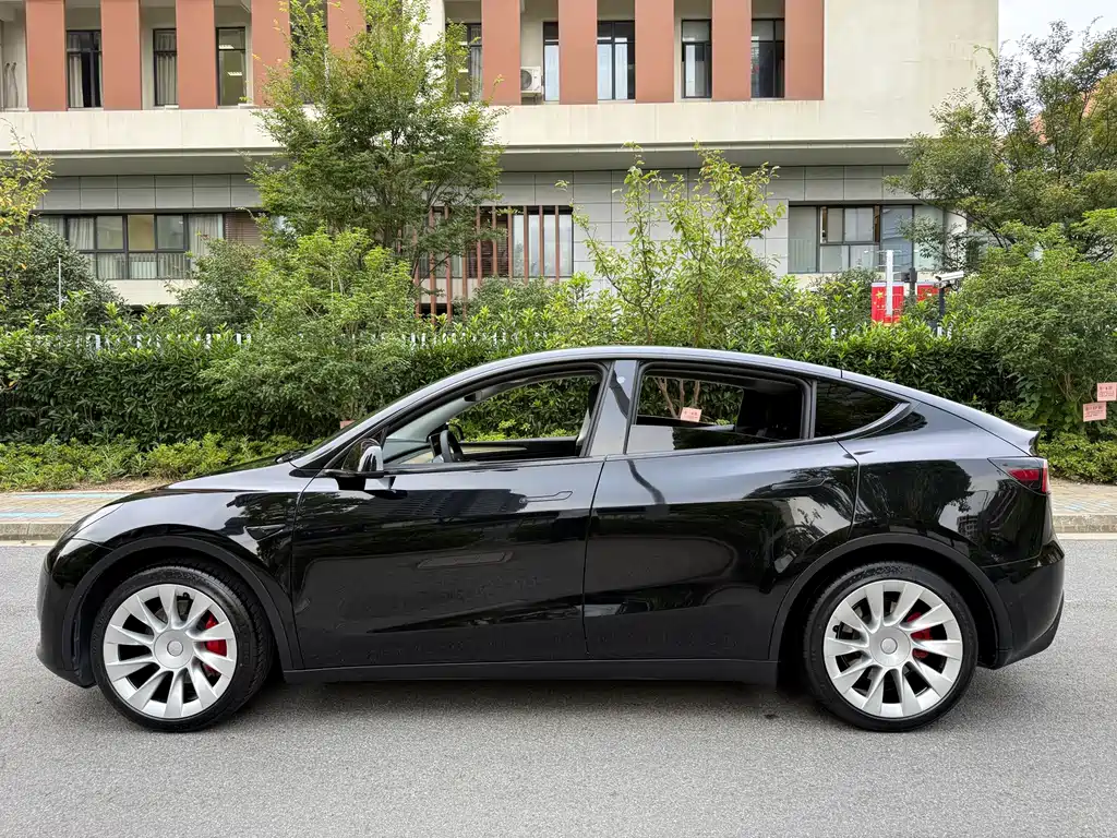 Tesla Model Y — фото 7