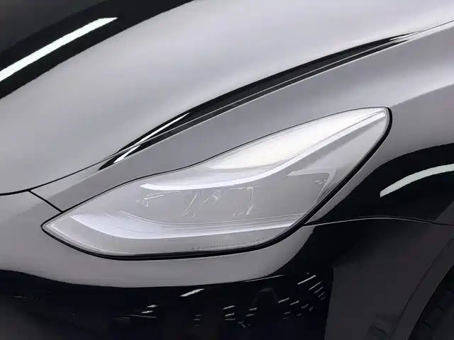 Tesla Model Y — фото 19