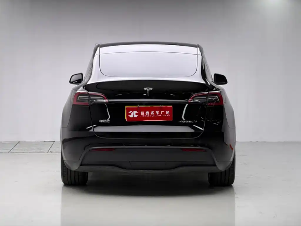 Tesla Model Y — фото 5