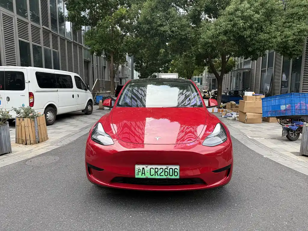 Tesla Model Y — фото 2