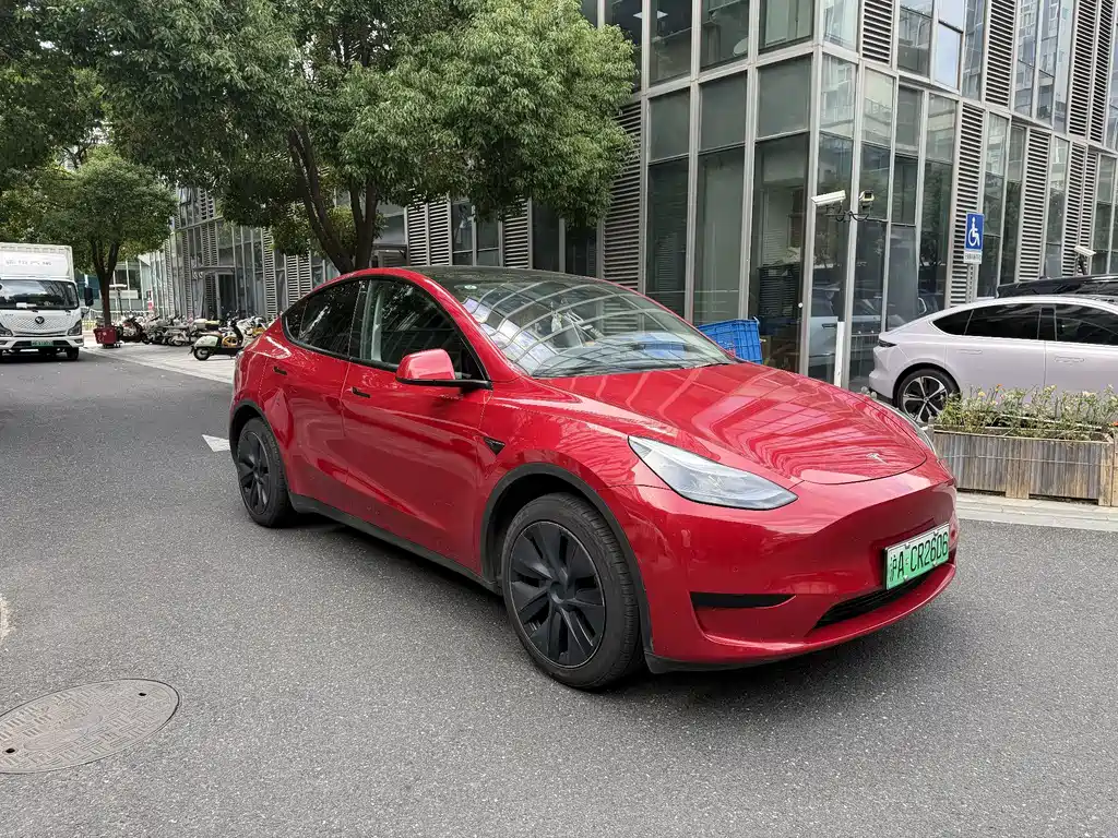 Tesla Model Y — фото 3