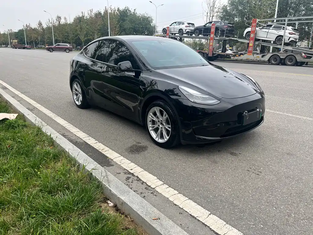 Tesla Model Y — фото 3