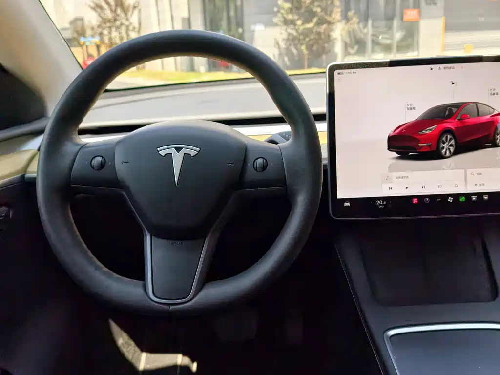 Tesla Model Y — фото 11