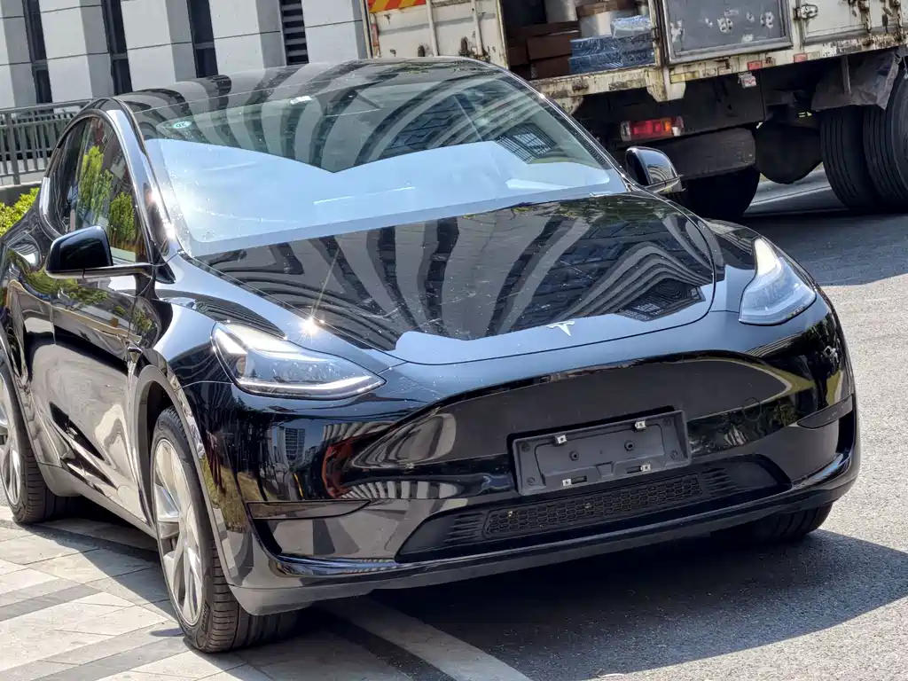 Tesla Model Y — фото 10
