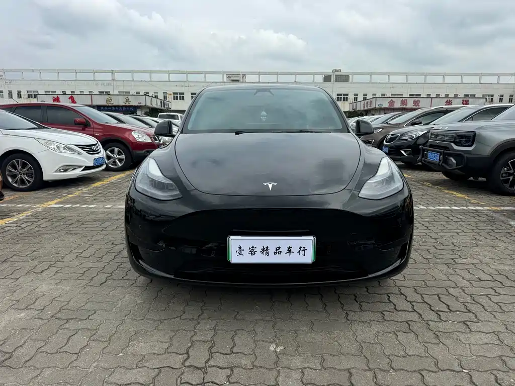 Tesla Model Y — фото 2