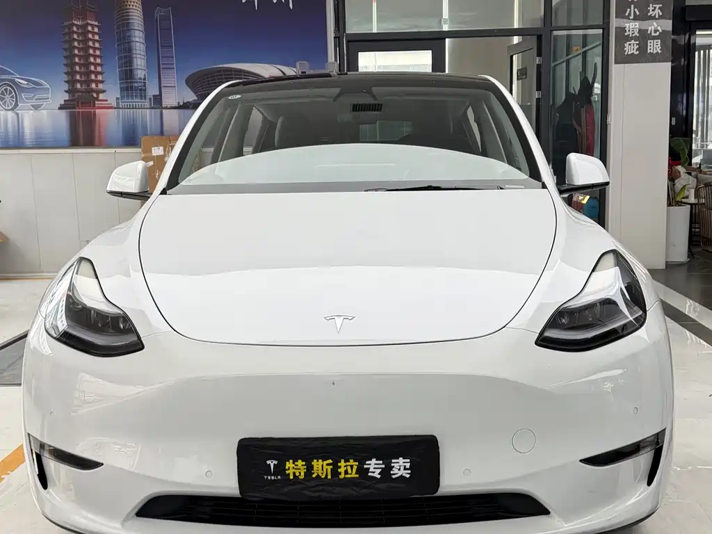 Tesla Model Y — фото 2