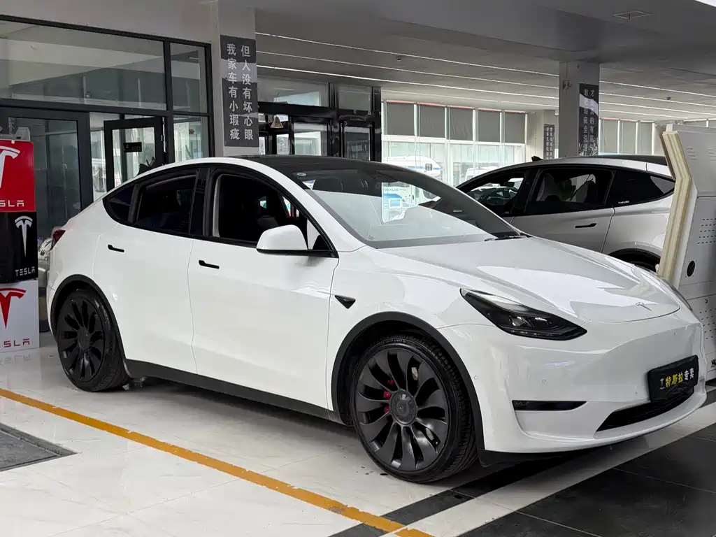 Tesla Model Y — фото 3