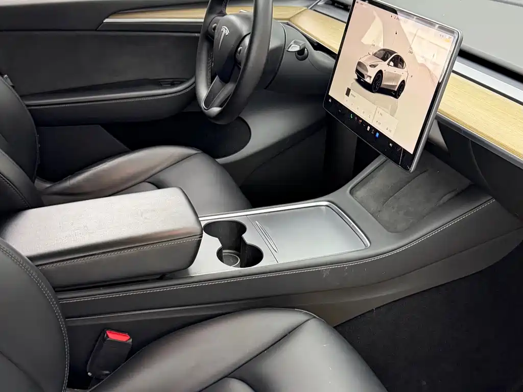 Tesla Model Y — фото 8