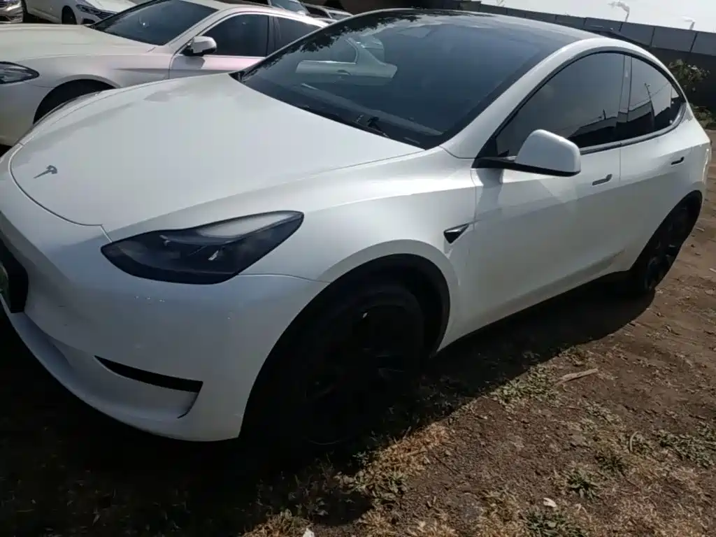 Tesla Model Y — фото 2