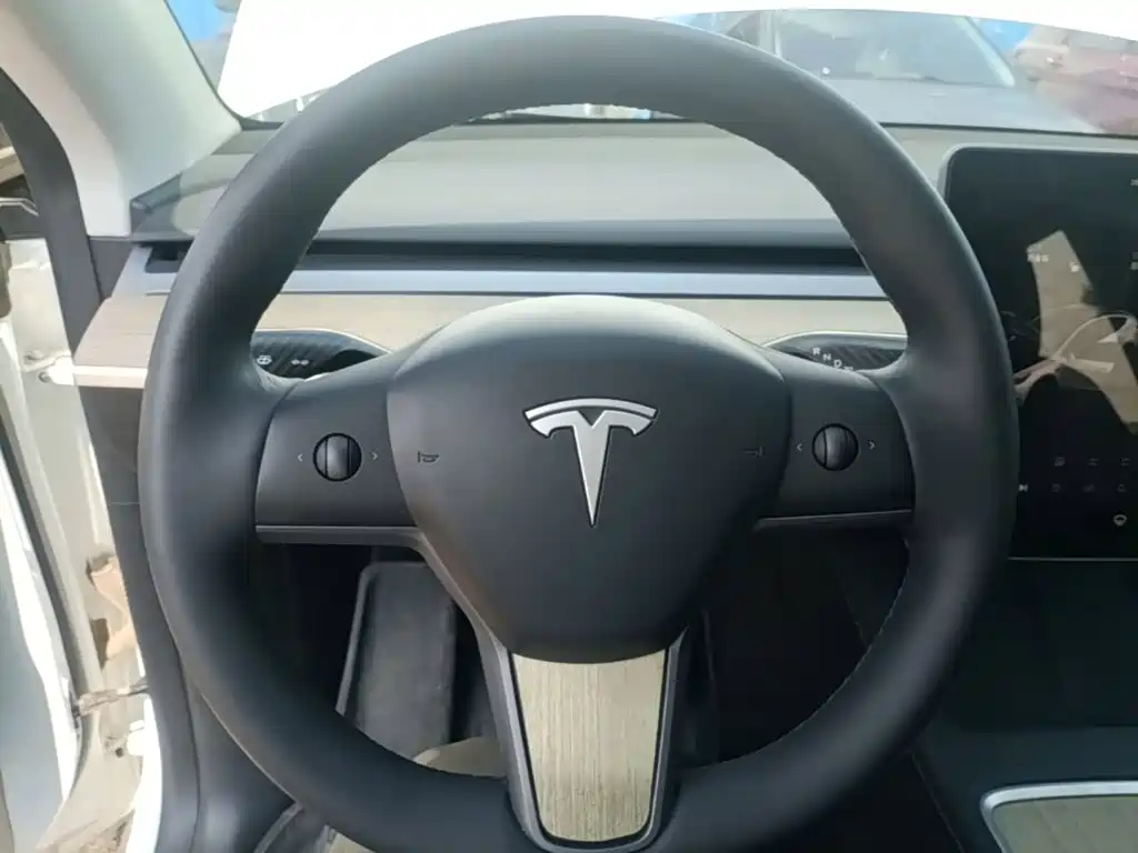 Tesla Model Y — фото 11