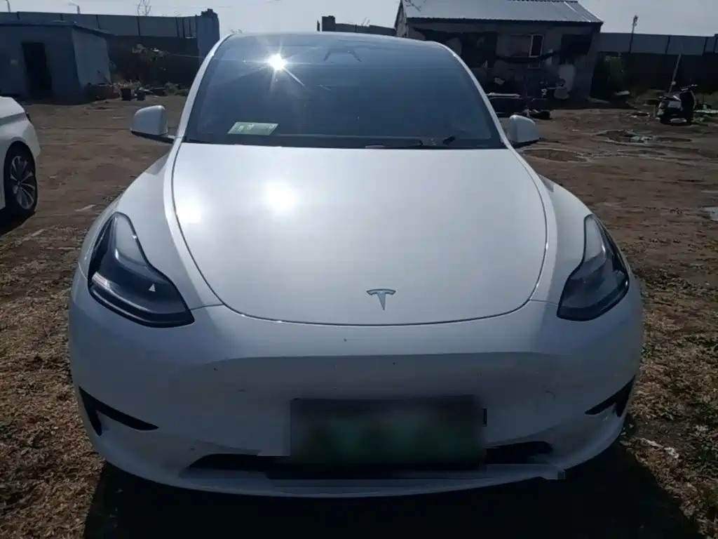 Tesla Model Y — фото 3