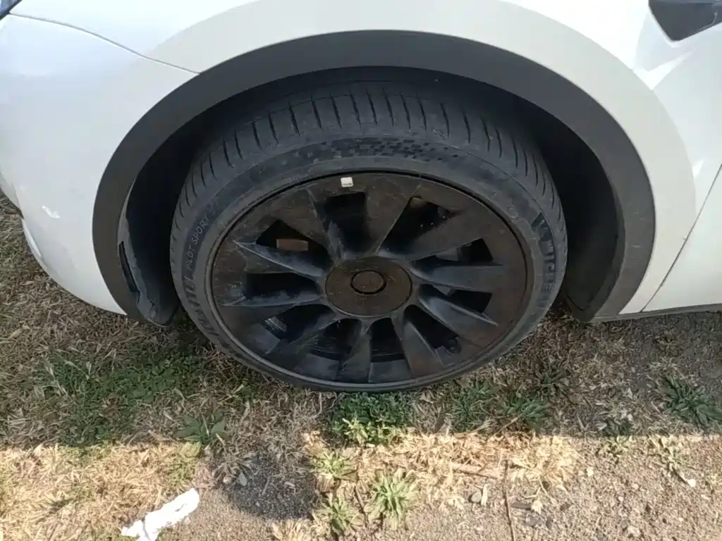 Tesla Model Y — фото 23