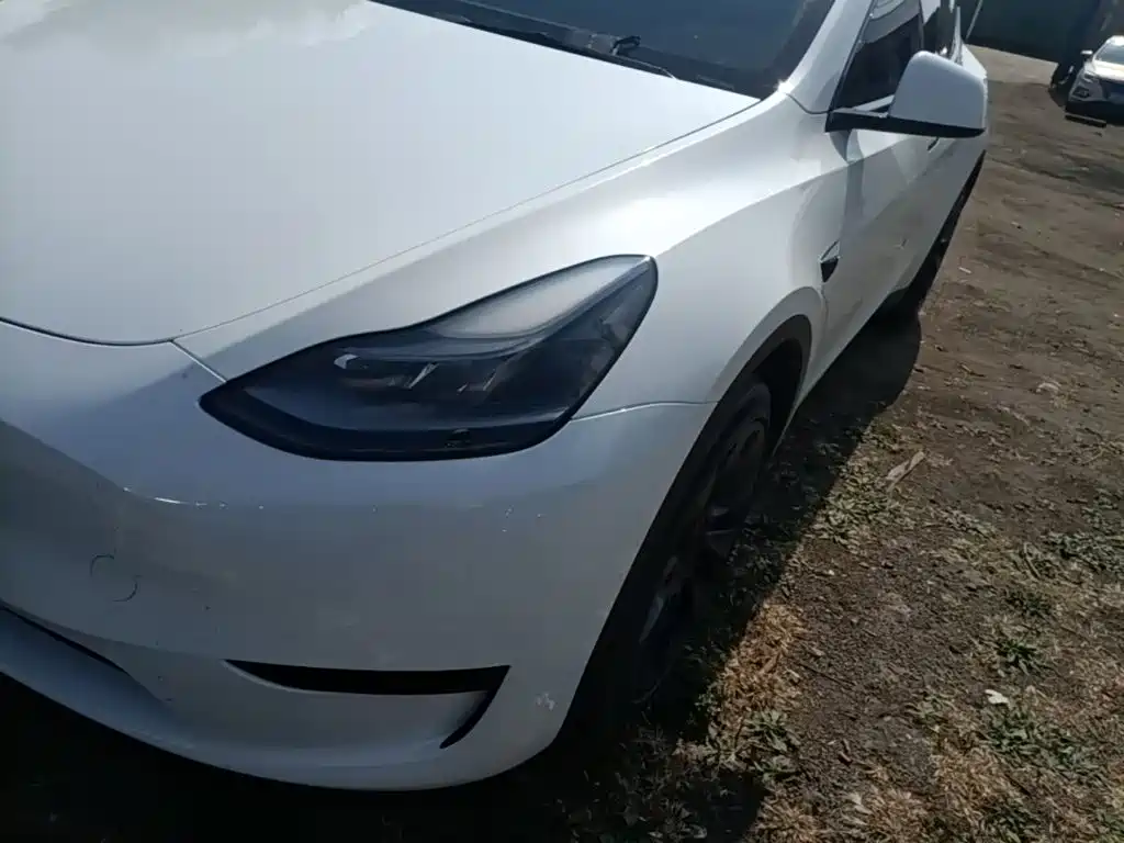 Tesla Model Y — фото 24
