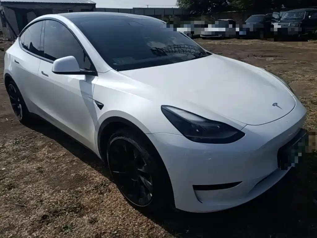 Tesla Model Y — фото 4