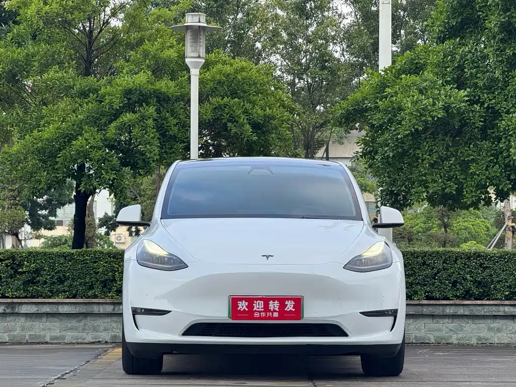 Tesla Model Y — фото 2