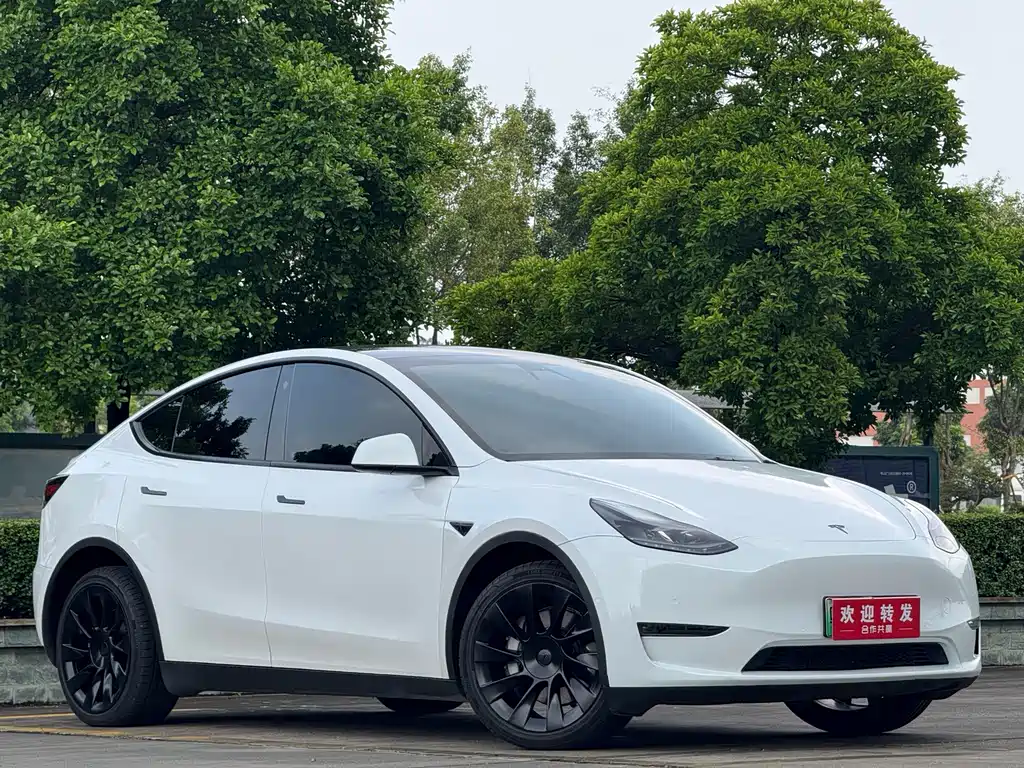 Tesla Model Y — фото 3