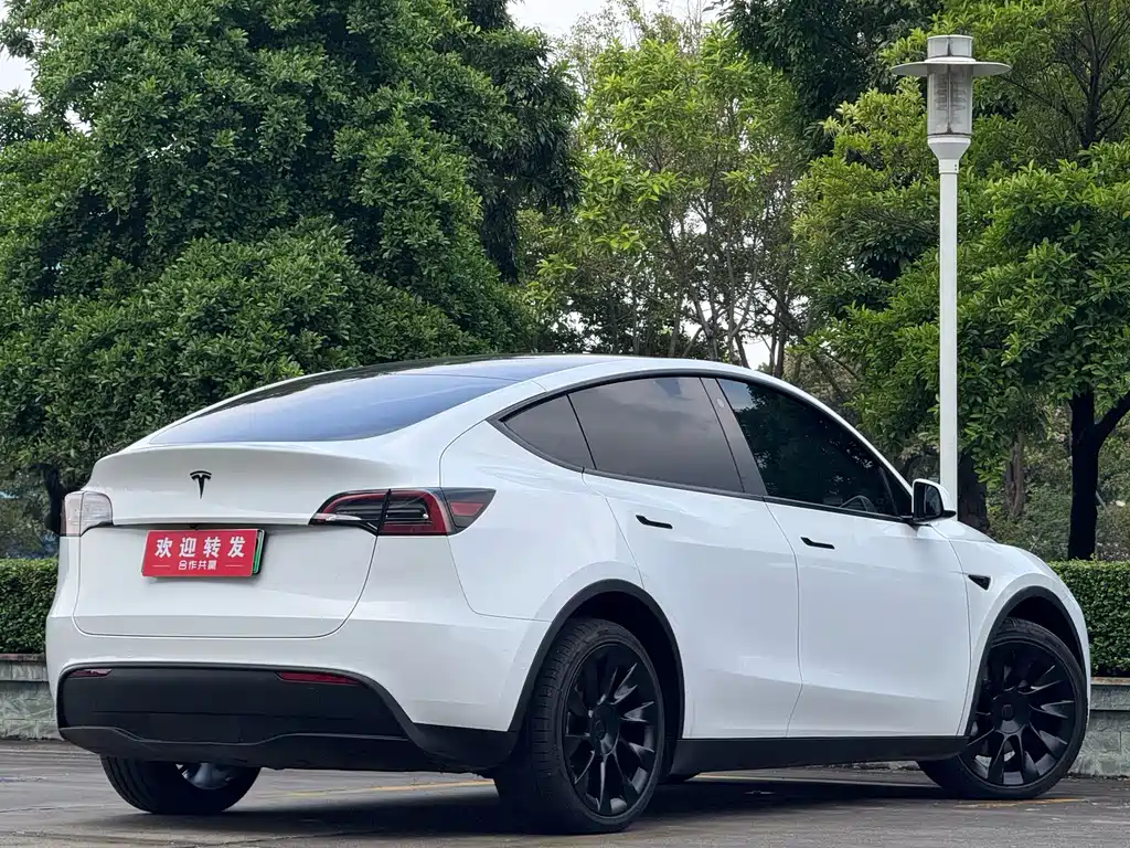 Tesla Model Y — фото 4
