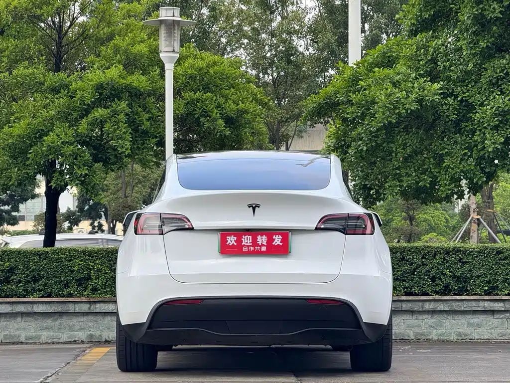 Tesla Model Y — фото 5