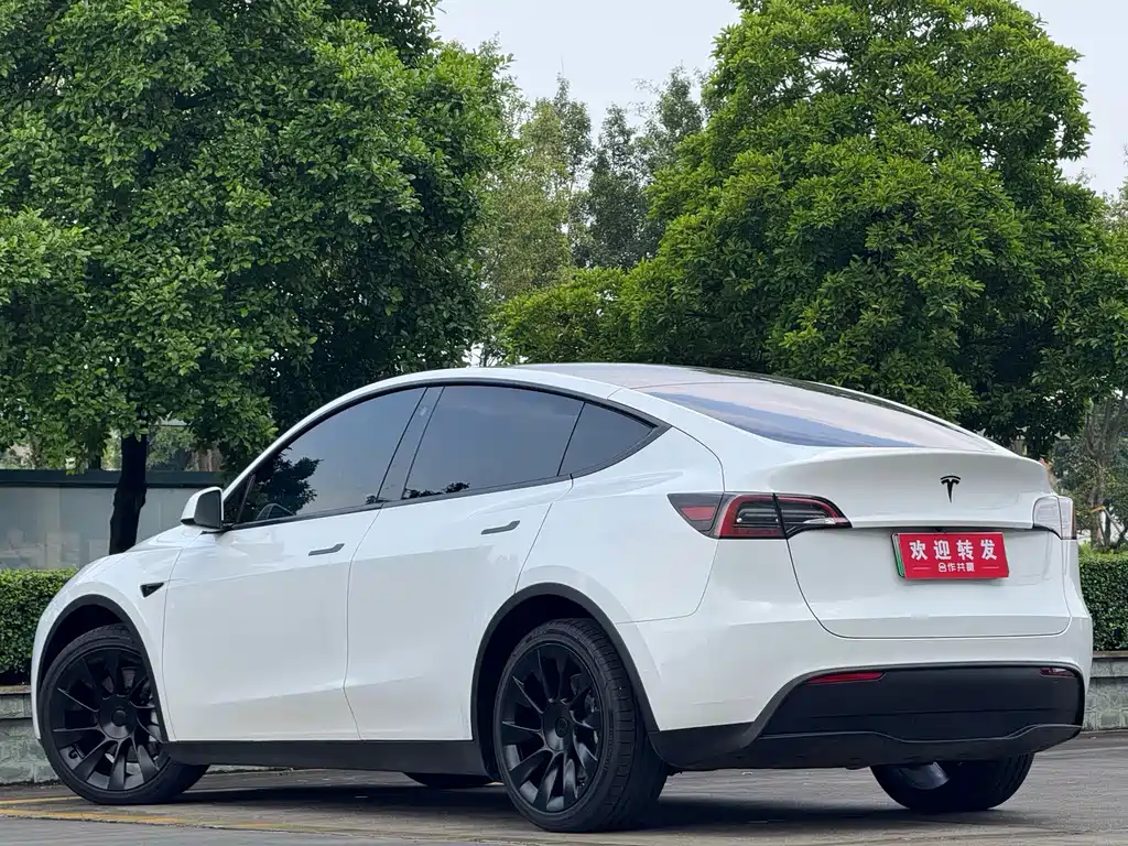 Tesla Model Y — фото 6