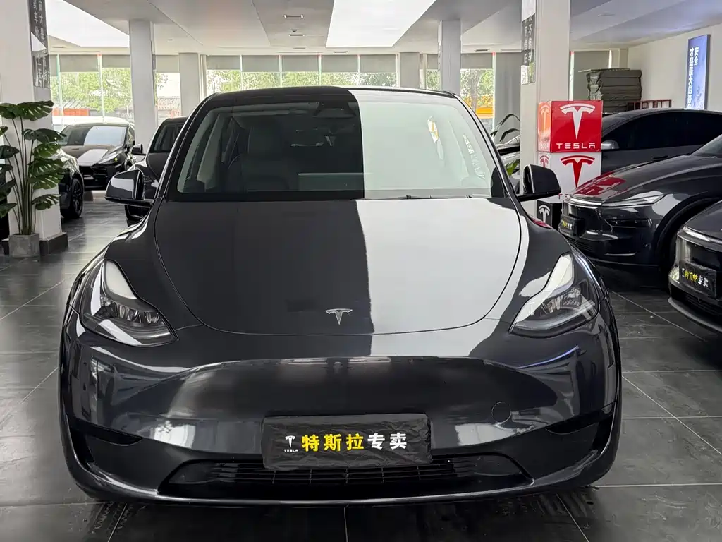 Tesla Model Y — фото 2