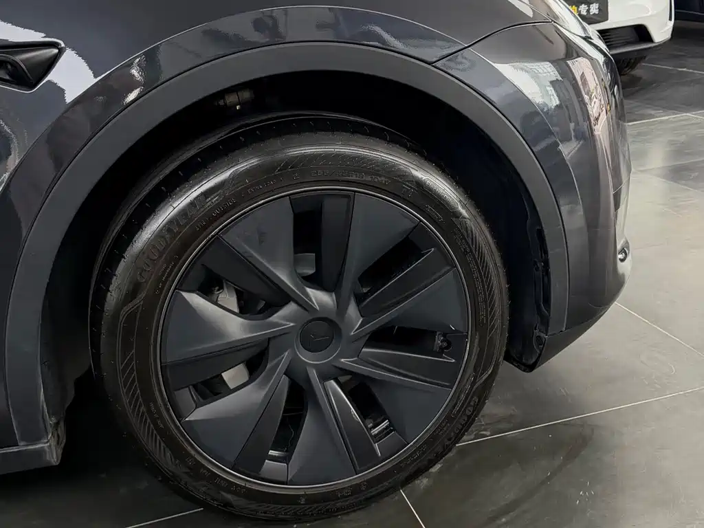 Tesla Model Y — фото 11