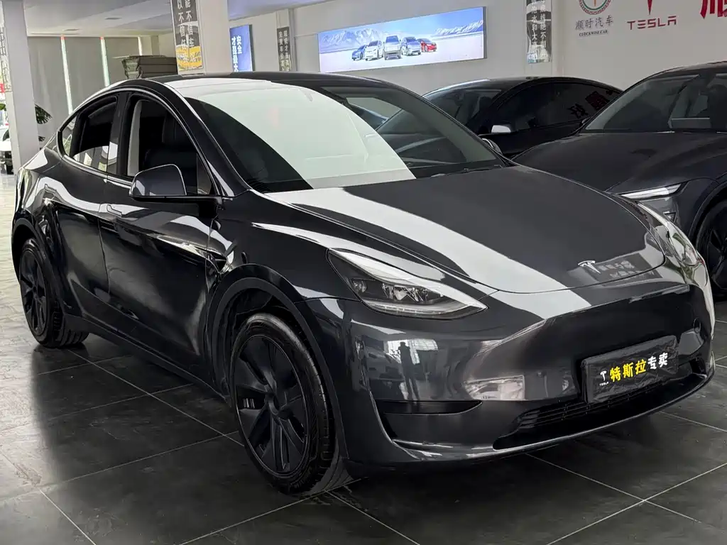 Tesla Model Y — фото 3