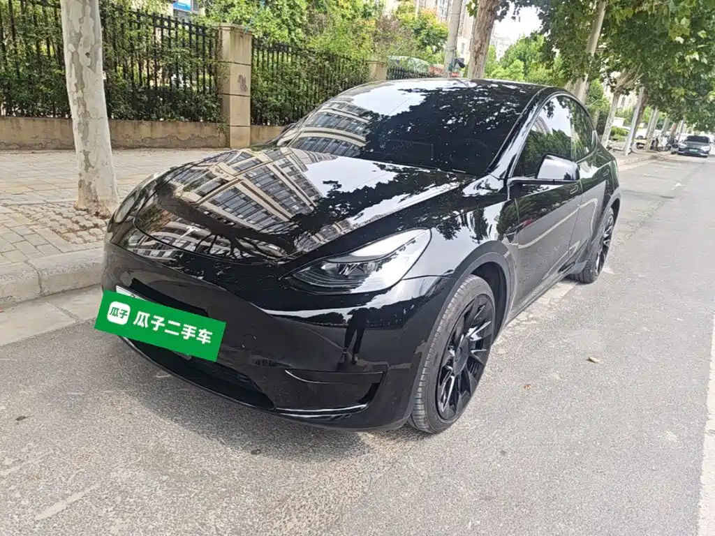 Tesla Model Y — фото 2