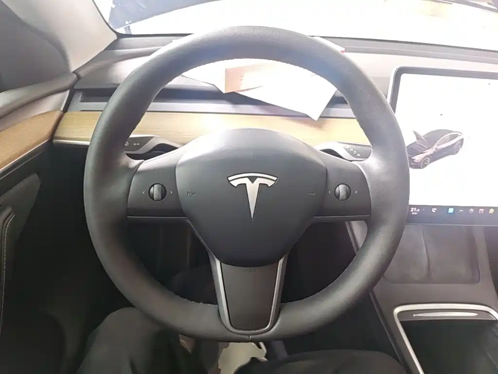 Tesla Model Y — фото 11