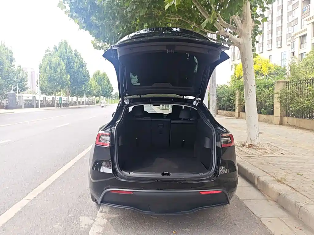 Tesla Model Y — фото 19