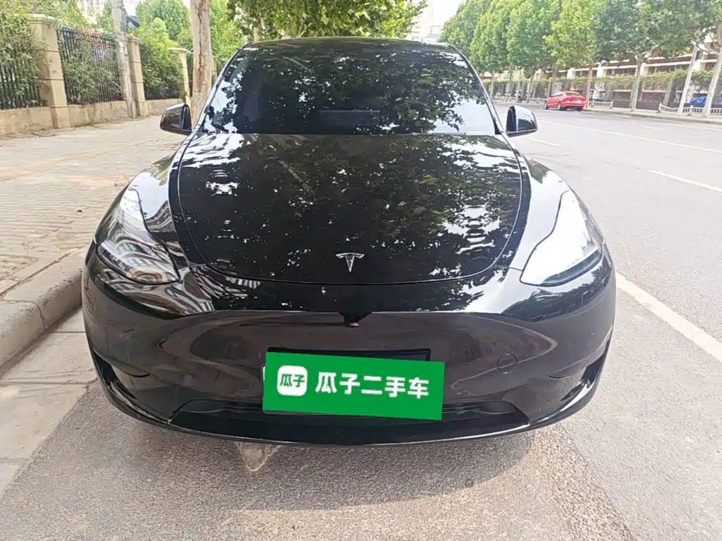 Tesla Model Y — фото 3