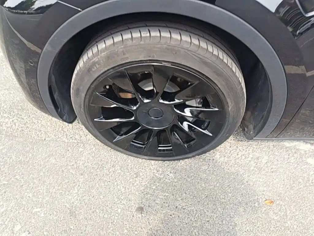 Tesla Model Y — фото 23