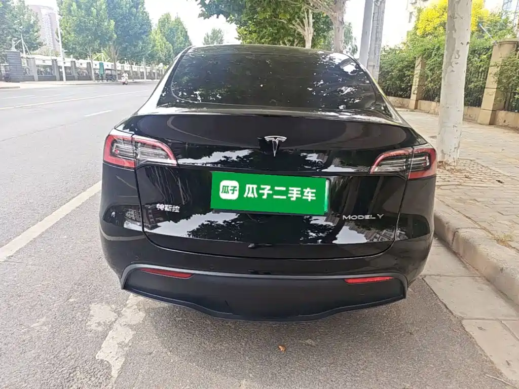 Tesla Model Y — фото 6