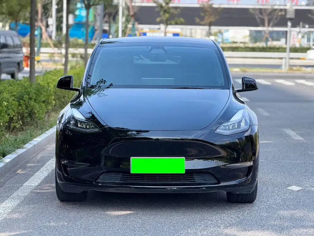 Tesla Model Y — фото 2
