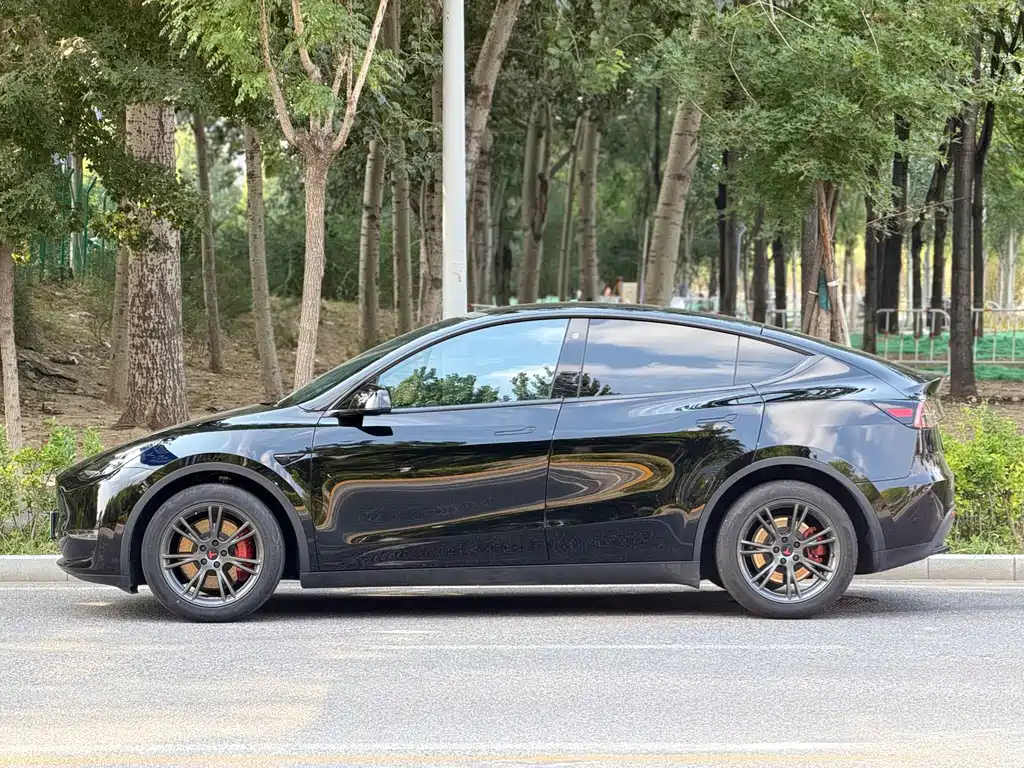Tesla Model Y — фото 3
