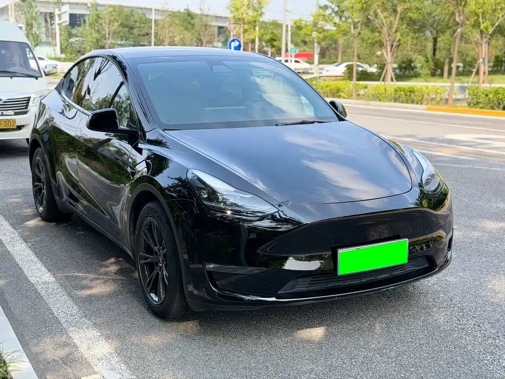 Tesla Model Y — фото 22