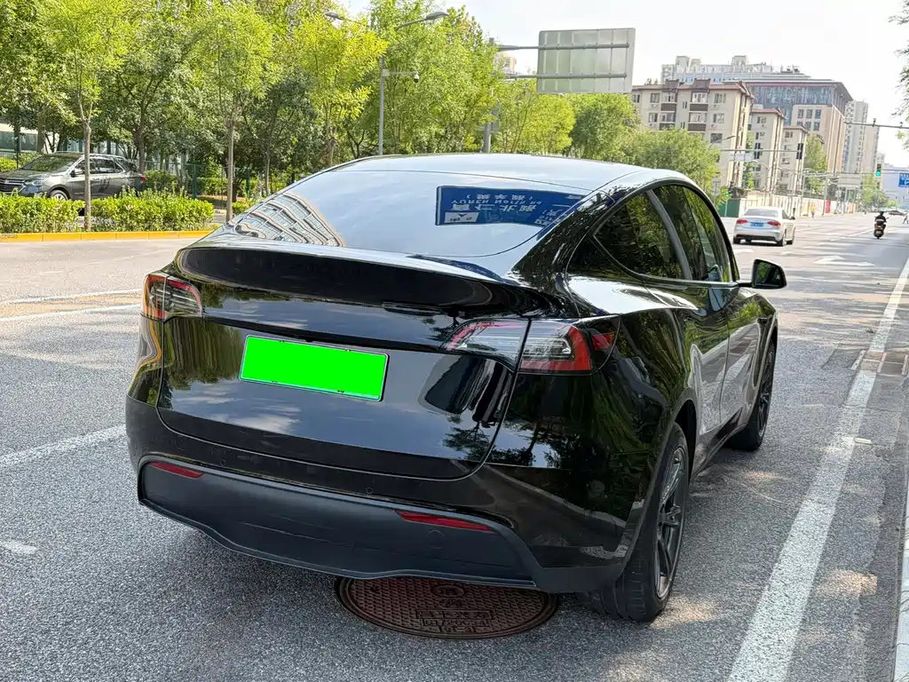Tesla Model Y — фото 23